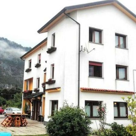 Albergo Alla Pineta Villa Santina Exterior photo